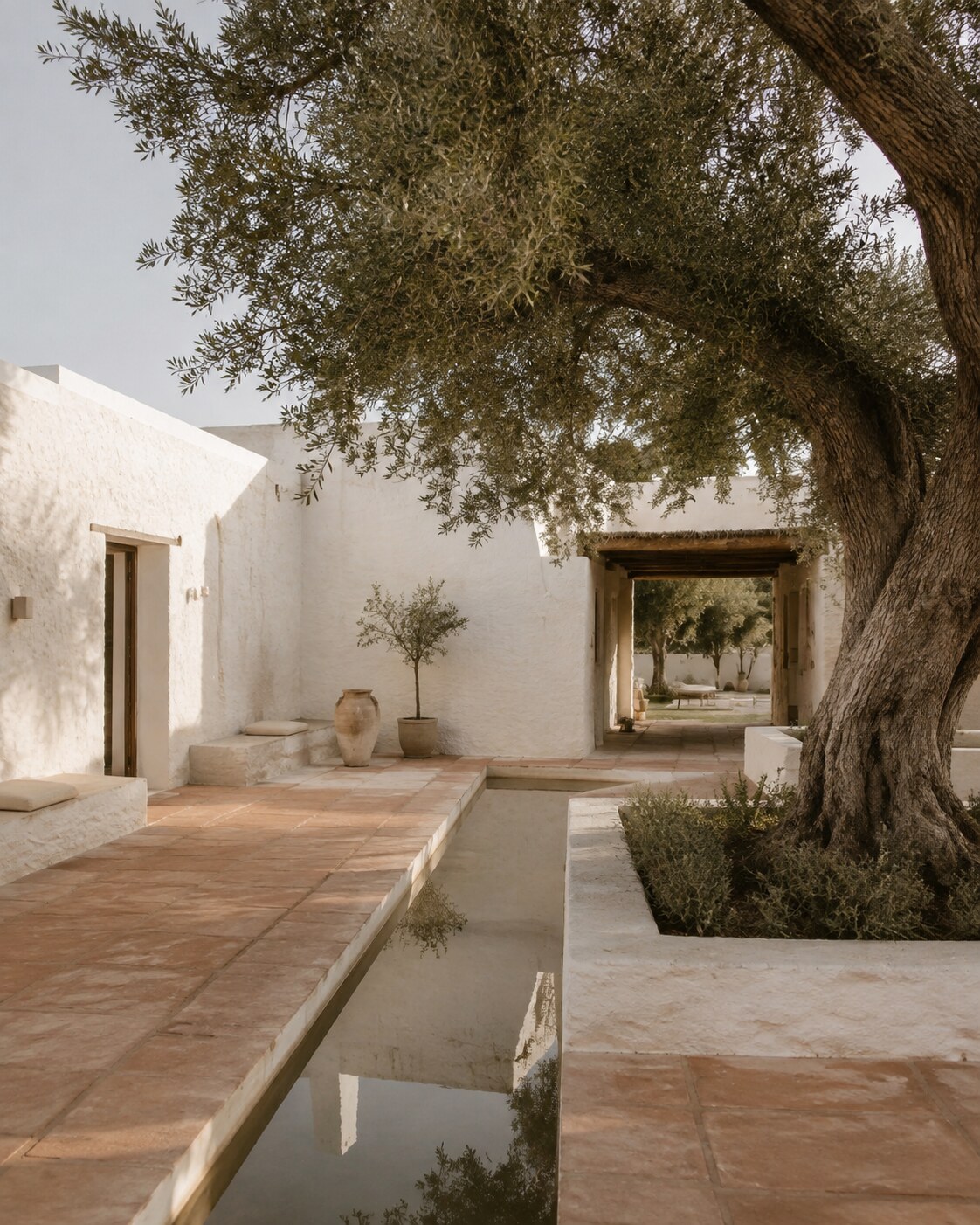 White Mediterranean courtyard with olive tree and reflecting channel